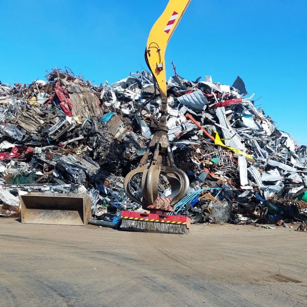 spazzola presa ragno